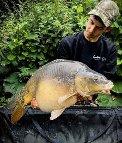 Admirez cette beauté ! Avec les Bouillettes Pepper Pulse : L'Histoire de Brice 🎣 - CarpeXpert