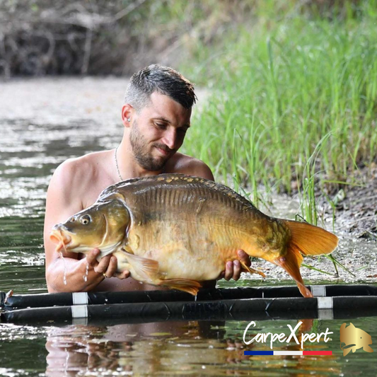 Joli carpe commune prise au glacon
