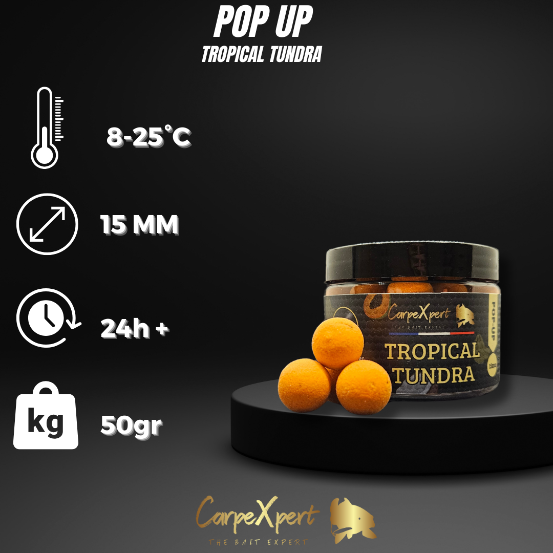 POP UP TROPICAL TUNDRA