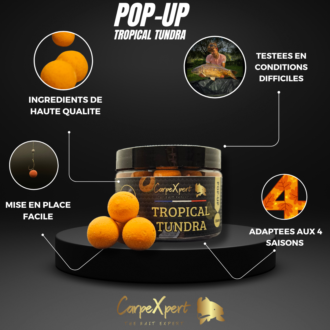 POP UP TROPICAL TUNDRA