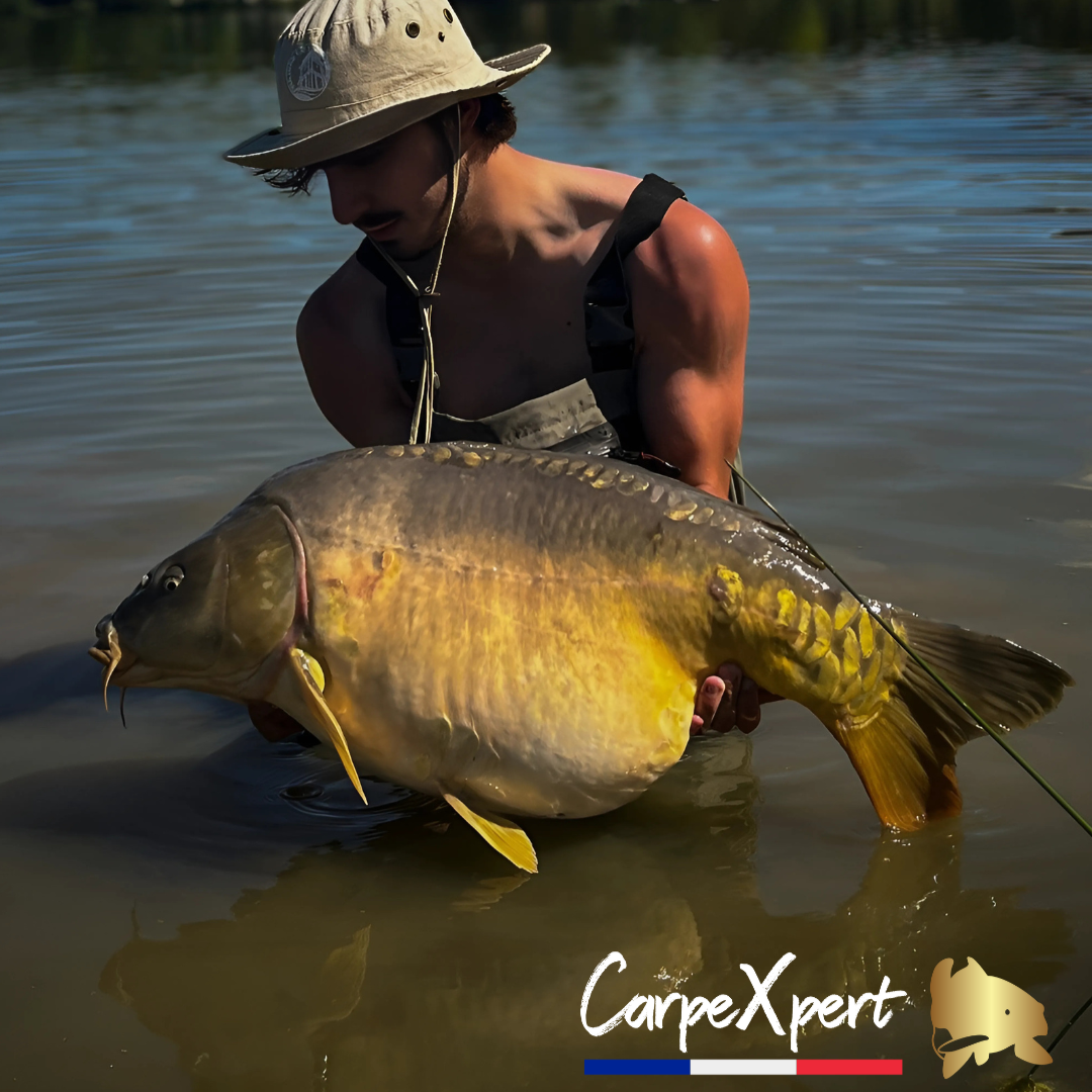 GAMME COMPLETE - ULTIME PEPPER PULSE