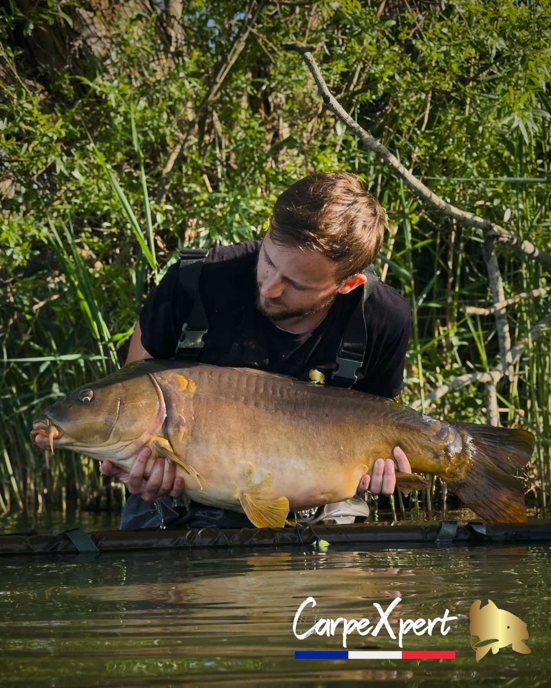 T-SHIRT CARPEXPERT