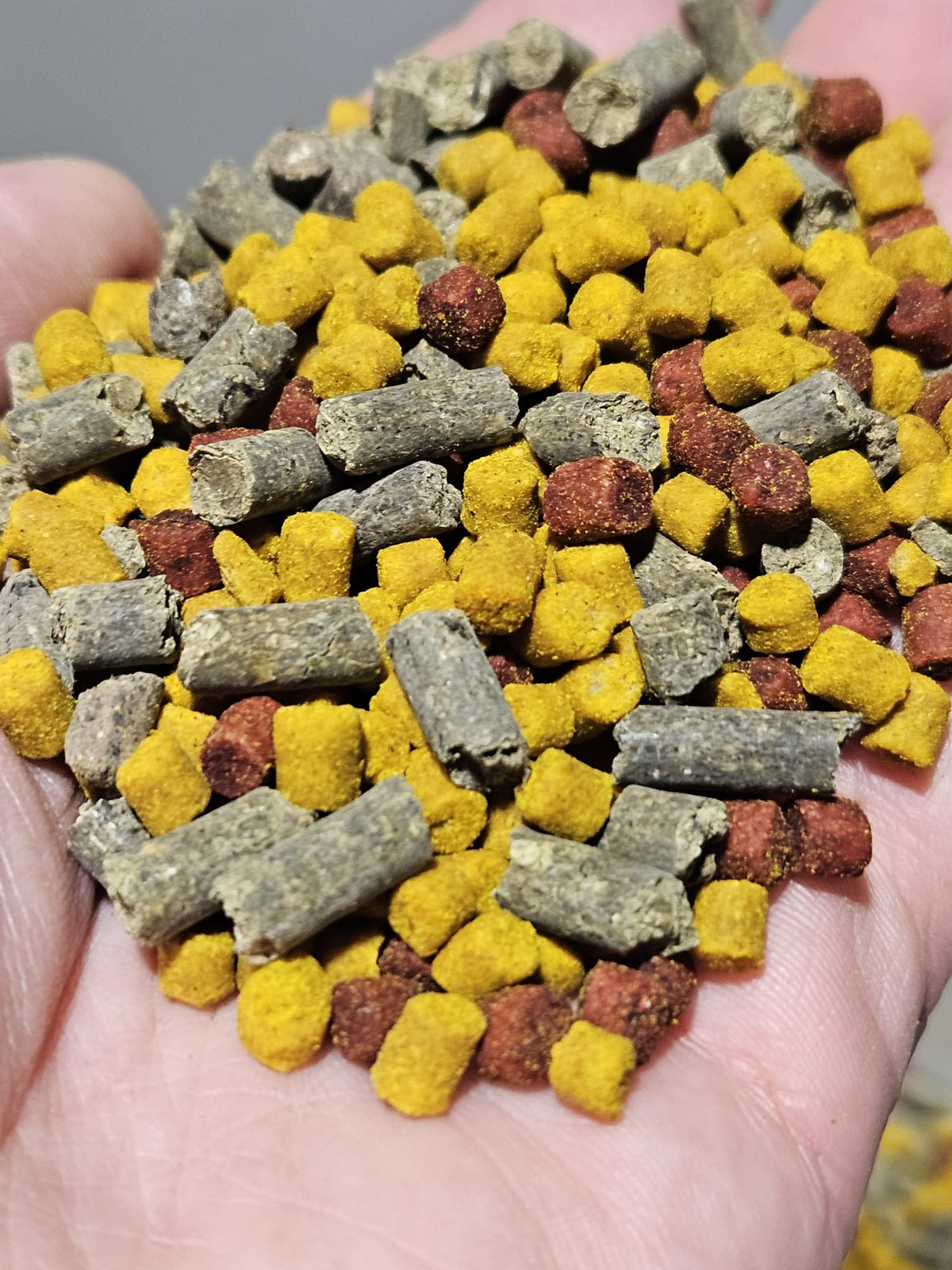 MIX PELLET - 5KG