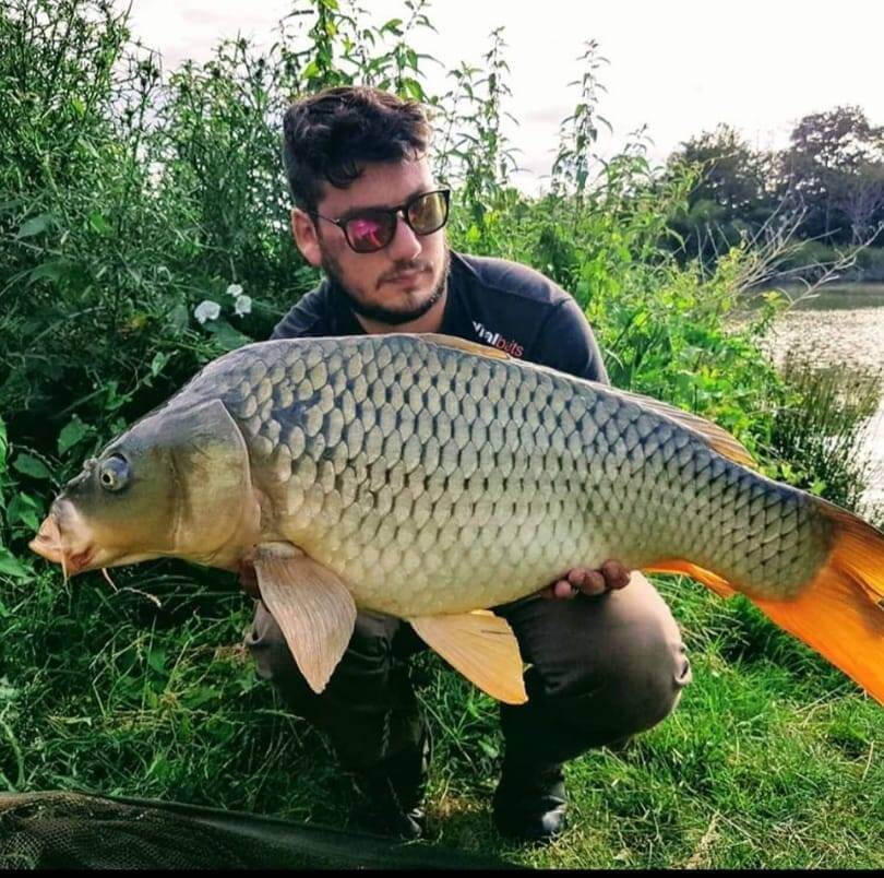 Top 5 des Meilleurs Appâts pour la Pêche à la Carpe au Printemps 🎣🌿