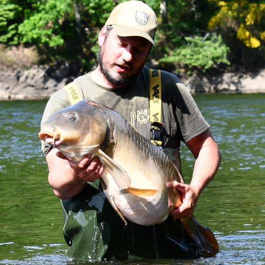 Comment amorcer efficacement en automne pour la pêche à la carpe 🎣🍂