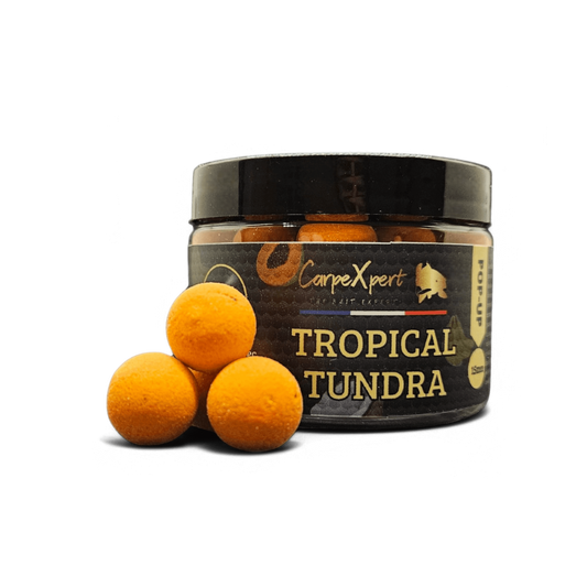 POP UP TROPICAL TUNDRA