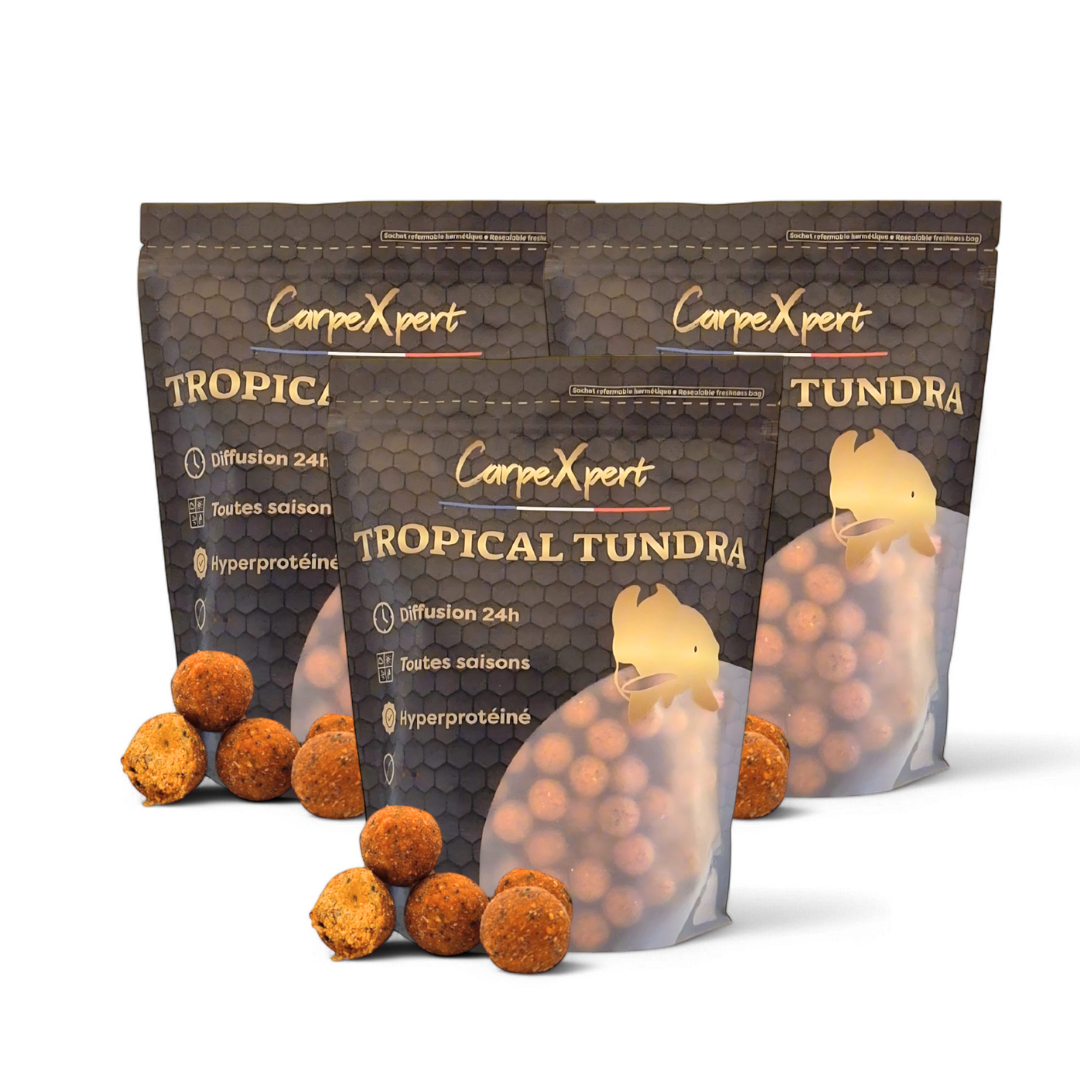 BOUILLETTES TROPICAL TUNDRA (Prix dégressif)