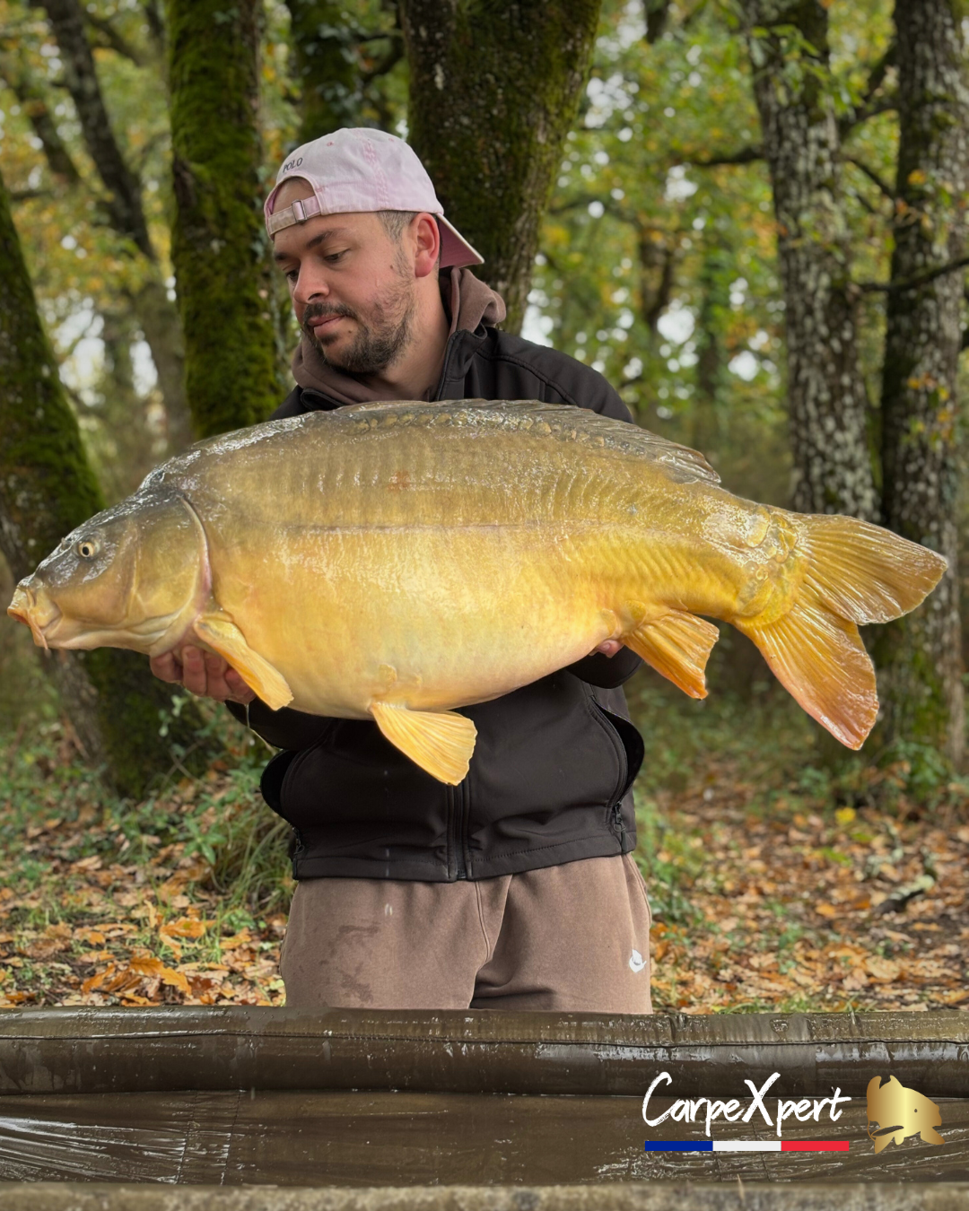 FLASH FUSION  ROSE - PEPPER PULSE