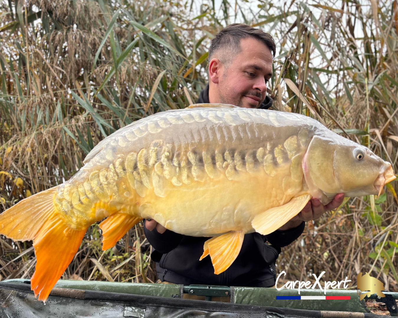 BOUILLETTES KRILL KICK - 5KG / 20MM